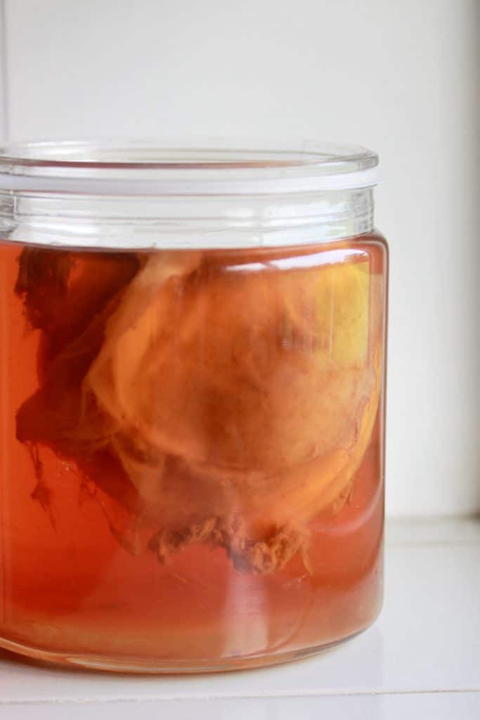 How to Make Kombucha at Home